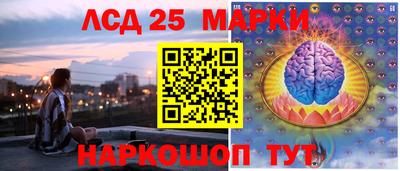 apvp Камышлов