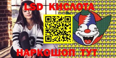 apvp Камышлов