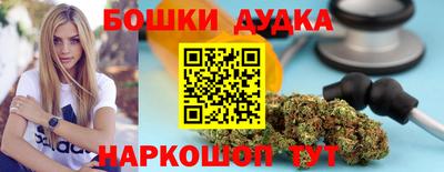 apvp Камышлов
