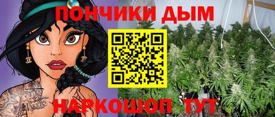 apvp Камышлов