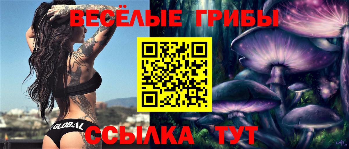 Кувандык  как найти наркотики  Вход с VPN  Псилоцибиновые грибы мицелий 