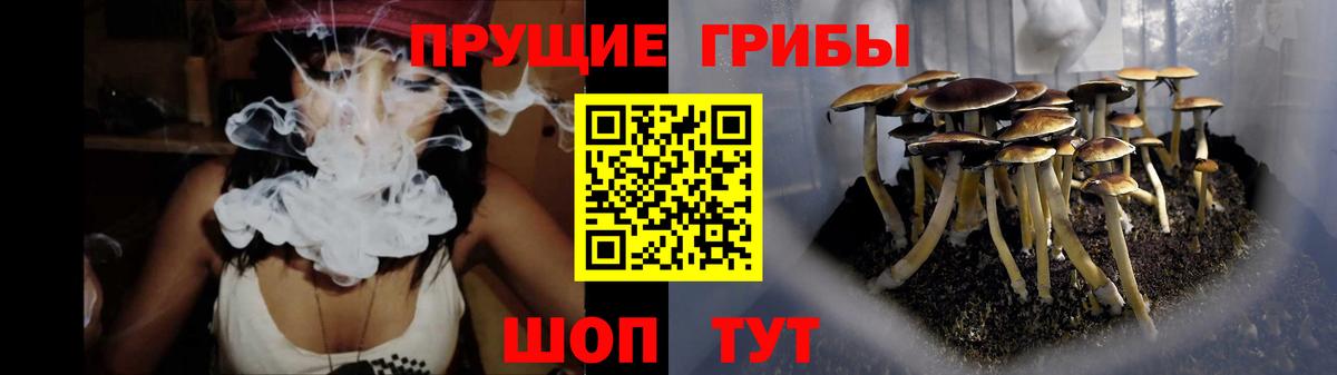 Псилоцибиновые грибы Psilocybine cubensis Кувандык